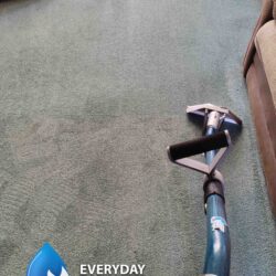 carpet and upholstery cleaning in hemel hempstead
