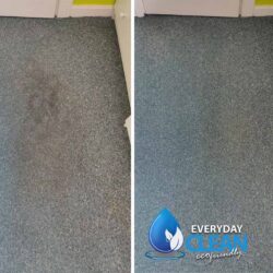 carpet and upholstery cleaning in hemel hempstead