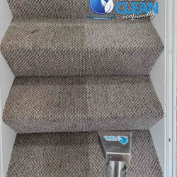 carpet and rug cleaning in leighton buzzard