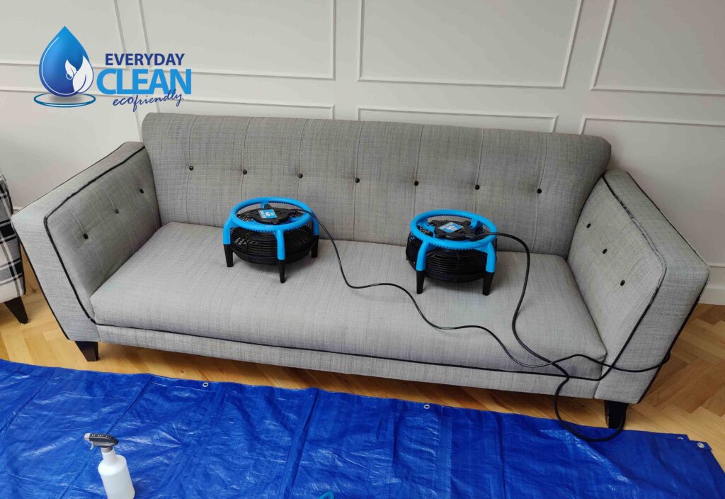 upholstery cleaning in watford