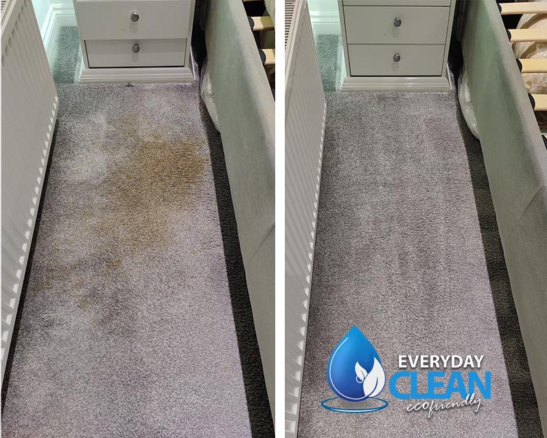 before_after_vomit_stain_cleaning_and_odour_control_everydayclean_05 Tailored Carpet Cleaning Solutions Just for You